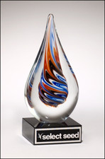 7.5" ART GLASS EMPLOYEE OF THE MONTH RECOGNITION RETIREMENT AWARD TROPHY T-1625^