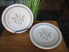 Fall Harvest Dinner Plates (5) Homer Laughlin Wheat Country Farmhouse 10"