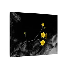 Yellow Wildflowers Under a Tree Colored Matte Canvas Stretched Wrapped