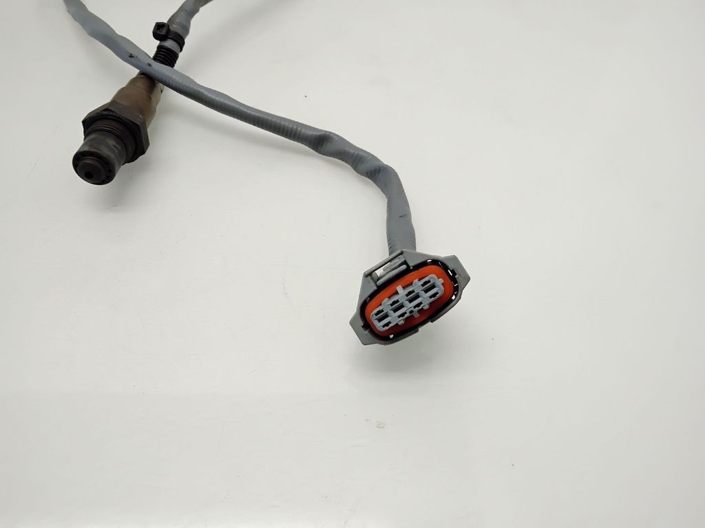 Foto 5 di 5