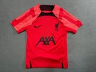Liverpool 2022 2023 Training football soccer jersey shirt Nike Boys size XS pink