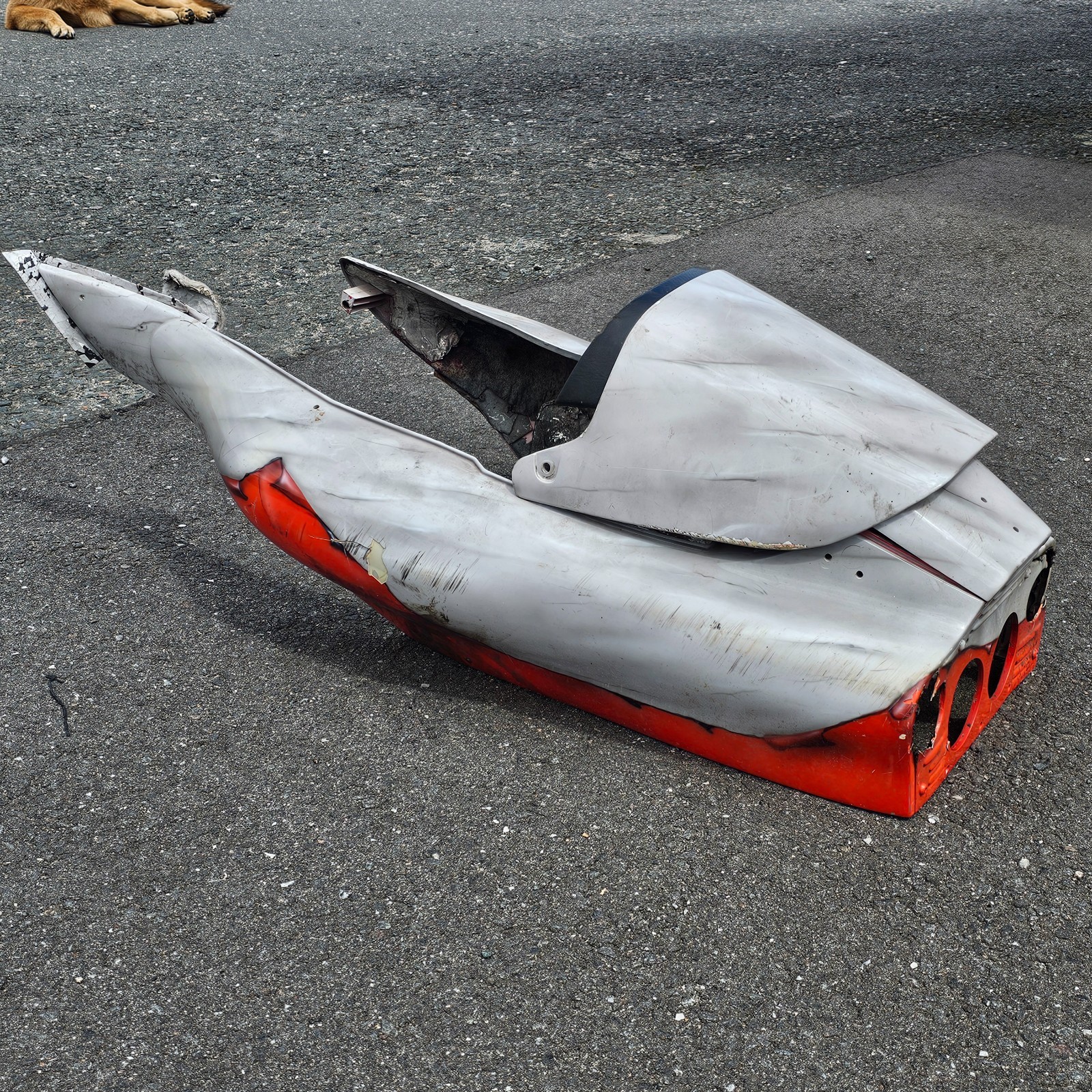 Bild 12 von 12
