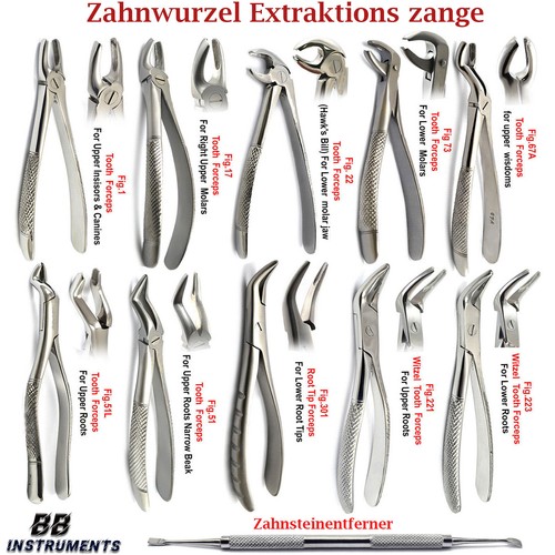 Zahnzange chirurgische Extraktionspange für obere untere Molaren Extraktionszang - Bild 13 von 13