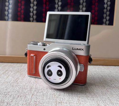 Videocámara compacta Panasonic LUMIX DC-GF9 con lente 12-32 adecuada para disparar vlog - Imagen 18 de 18