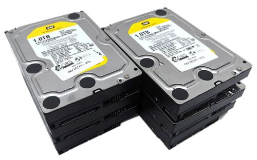 Lot of 6 Western Digital WD Re 1TB SATA III 3.5" Hard Disk Drive HDD WD1003FBYZ