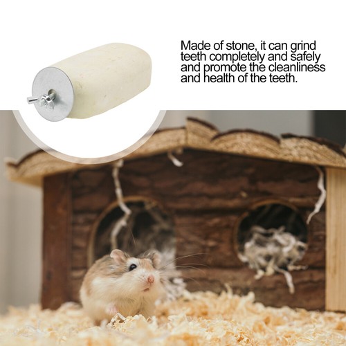 Teeth Stone collections Parrot Cage Perch Hamster Treat Toys Hamster Chew