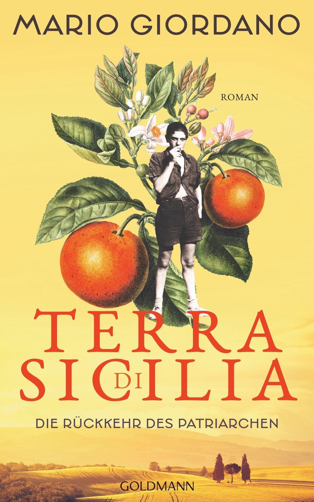 Thumbnail - Mario Giordano | Terra Di Sicilia. Die Rückkehr Des Patriarchen | Buch