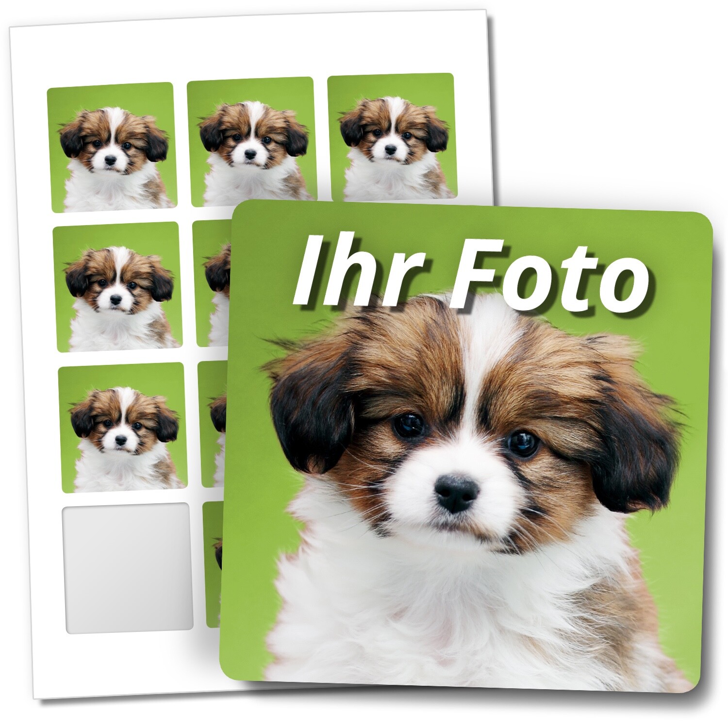 Bild 1 von 9