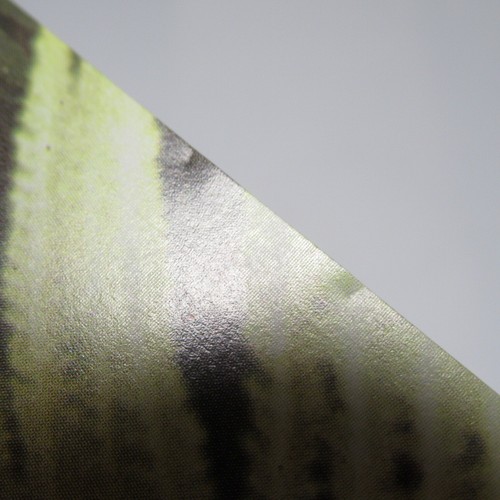 EDGAR FROESE EPSILON IN MALAYSIAN PALE JAPAN CD VJCP-23046 w/OBI - Bild 8 von 8