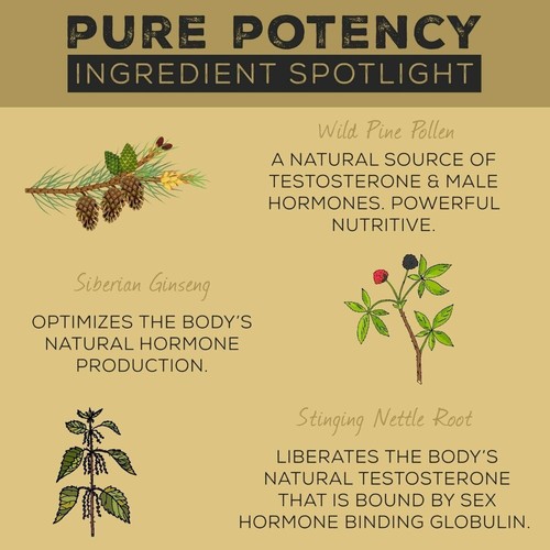 PINE POLLEN Pure Potency Tincture 50ml | Adaptogenic Hormone Elixir - Picture 7 of 9