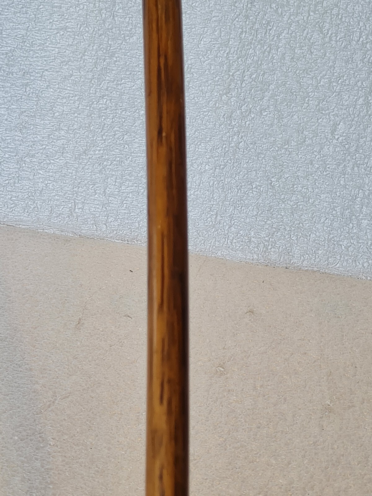 Bild 15 von 24
