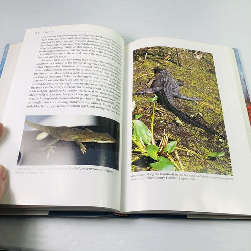 Birding Across North America : A Naturalist's Observations by Philip E. Keenan - Picture 11 of 13