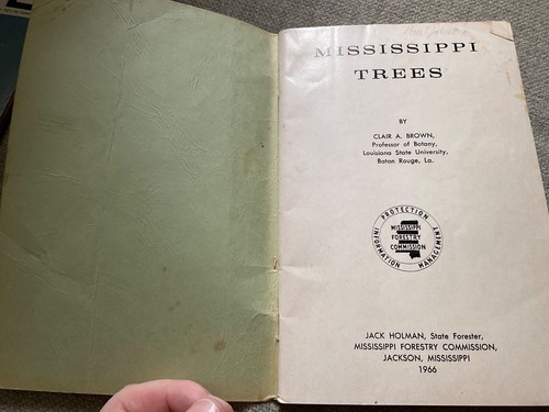 Mississippi Trees Booklet August 1966 Mississippi Trees Forestry Commission Vtg - Picture 3 of 5
