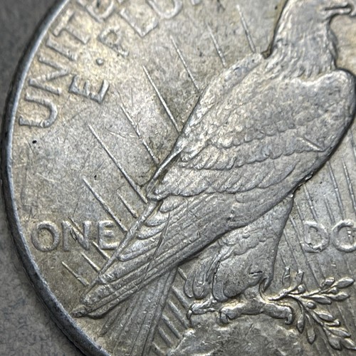 Dollaro Argento Pace 1928 - RARA DATA CHIAVE - Capsula e custodia inclusi - 82064 - Foto 13 di 18