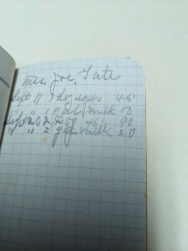 Vintage Brickman's Medicated Salt Lick Advertising Pocket Note Pad Chattanooga - Picture 7 of 9
