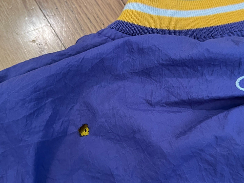 VTG 90s Champion Los Angeles Lakers Warm Up Jacket Size XL Official NBA Worn - Picture 24 of 24