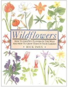 WILDFLOWERS-HOW-TO-IDENTIFY-FLOWERS-IN-WILD-AND-HOW-TO-GROW-THEM-By-Rick-Mint