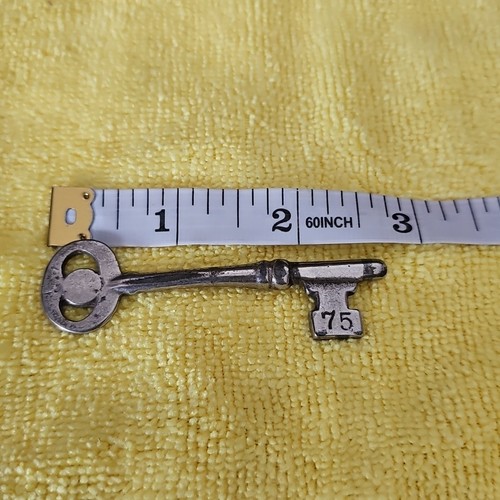 Llave esqueleto vintage niquelada #75 - Imagen 4 de 4