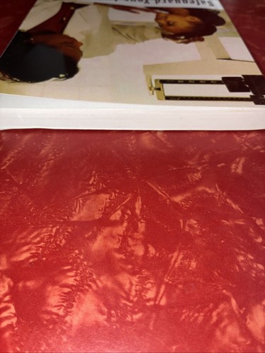 Safeguard Your Ambulatory Nursing Care Practice by Patricia Iyer 2012 Paperback - Bild 9 von 9