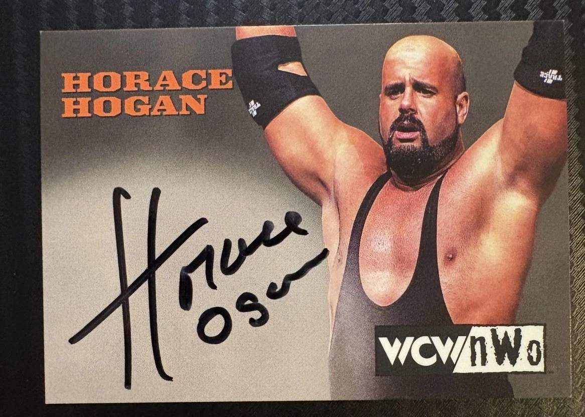 World Wrestling Championship (WCW) Wrestling Autographed Sports