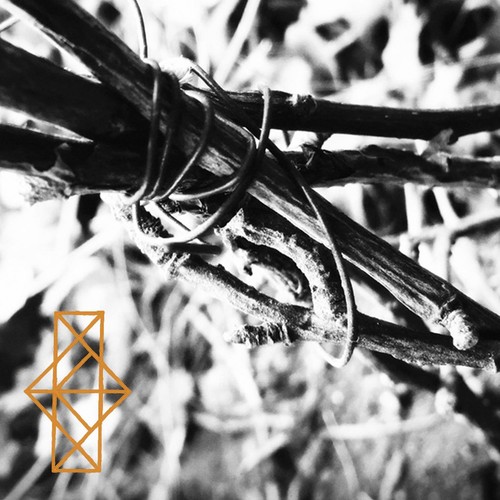 Common Eider, King Eide Shrines for the Unwanted, Respite for the Cast Asid (CD) - Picture 2 of 2