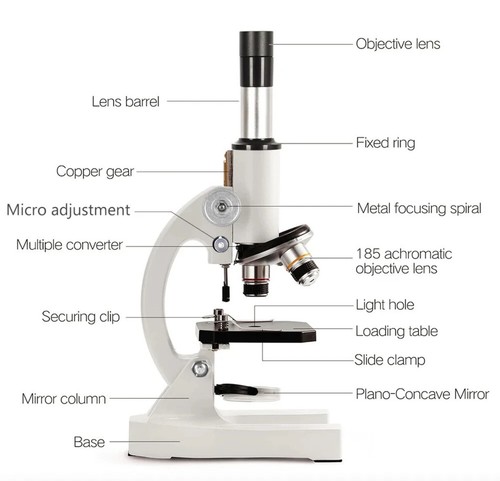 student Microscope 4x 10x 40x - Picture 2 of 11
