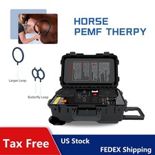 Pmst Loop Horse Magnetic Therapy Pemf Physio Magneto Body Relax Massage Machine