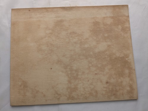 Katalog 12.441 Sterne Epoche 1880 am Kap Gute Hoffnung 1871-9 EJ Steinastronomie - Bild 9 von 12
