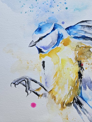 Original watercolour painting signed artwork by Elle Smith of A Blue Tit Bird - Picture 3 of 6
