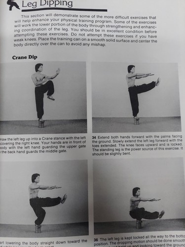 6 Kung fu Martial arts book lot Liu Tong exercise Martial Mechanics Krav Maga Ta - Bild 10 von 12