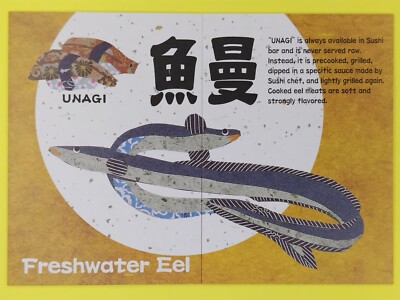 Unagi Card UNAGI Kanji Educational Fish Card Game 2 Set Giappone Arte Giapponese ...