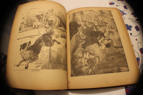 Merry Times-1890's-DeWolfe & Fiske-Antique Victorian Children's Book - Picture 11 of 18
