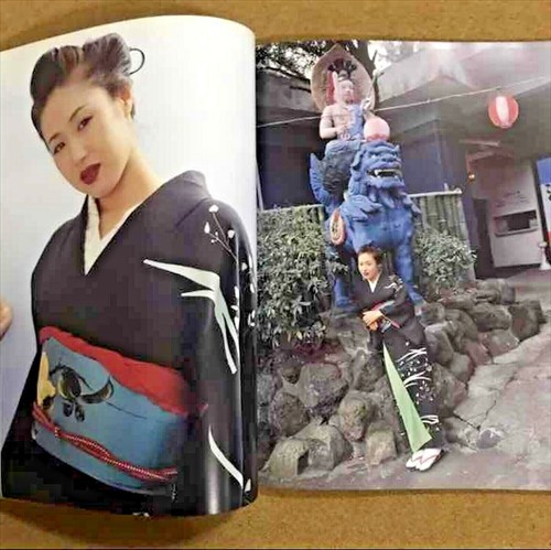 Nobuyoshi Araki nisekoi Book 1996 photo book rare Japan Limited Version nice - Picture 4 of 7