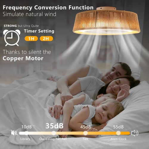 21" Modern Boho Fan Lights Flush Mount LED Ceiling Light kit With Remote Control - Picture 5 of 12