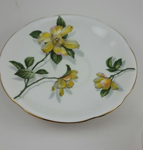 Vintage Royal Standard Fine Bone China Tea Cup and Saucer - England Camillia - Picture 5 of 9