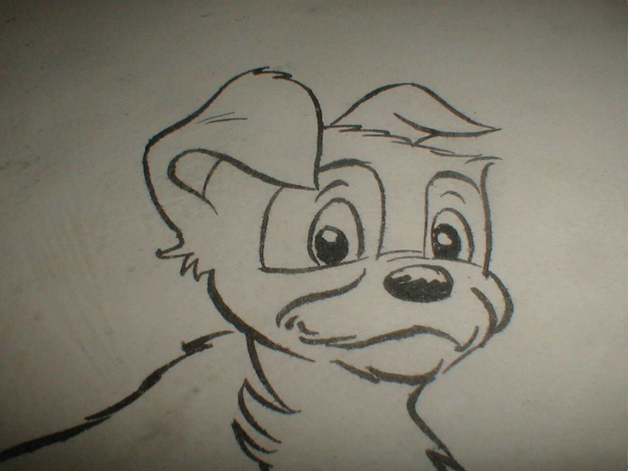 Picture 3 of 12