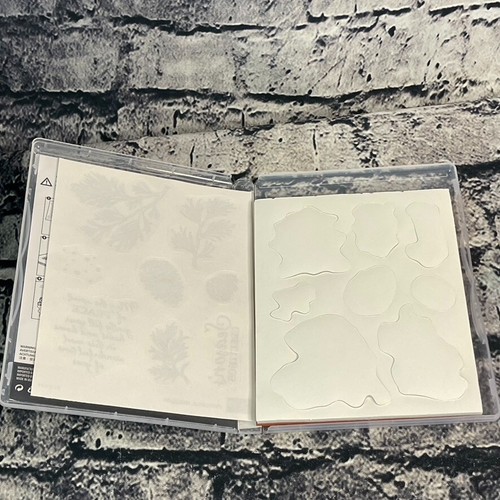 Stampin’ Up! PEACEFUL BOUGHS 8-teiliges Stempelset Sätze Zweige Tannenzapfen - Bild 6 von 10