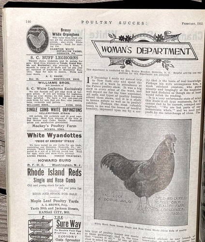 2) POULTRY SUCCESS Magazine: Feb & Oct 1912; Chicken Farming Breeding; Wyandotte - Picture 13 of 23