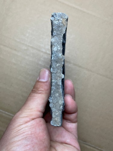 340g Triassic Natural crinoid specimen Geologic rock - Picture 14 of 22