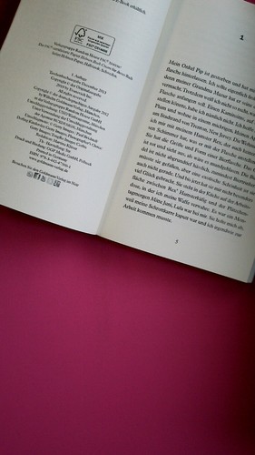 136243 Janet Evanovich DER BESTE ZUM KUSS ein Stephanie-Plum-Roman - Bild 4 von 4