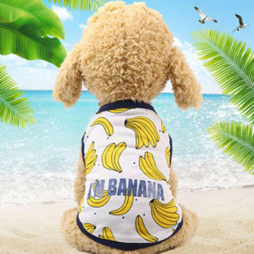 Reino Unido Mascota Cachorro Perro Pequeño Chaleco Camiseta Abrigo Ropa Disfraz Camisa Fina ▽ - Imagen 52 de 58