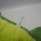 Bild 11 von 11