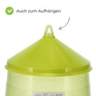Bild 5 von 12