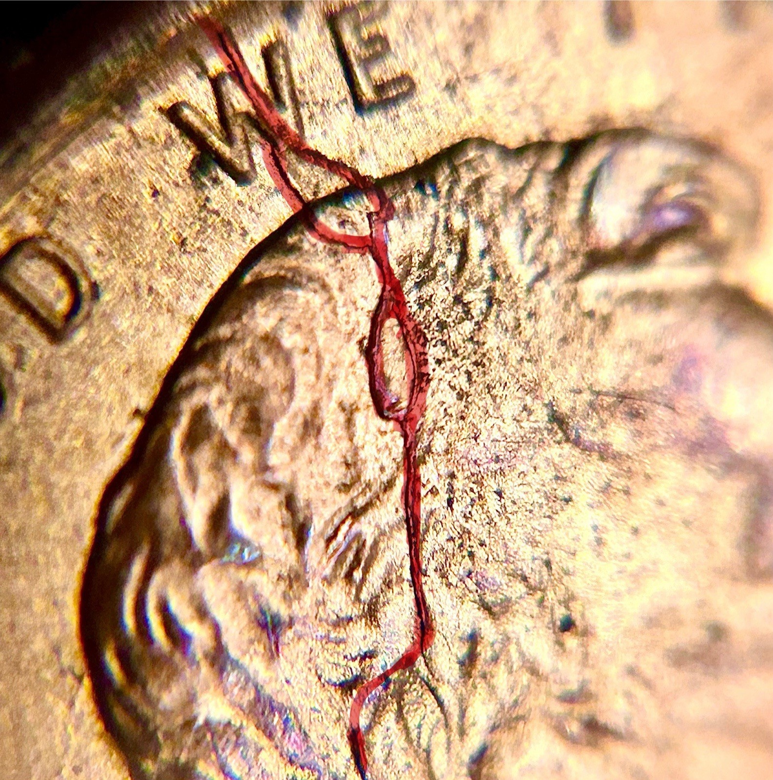Picture 5 of 8