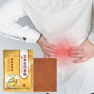 50/100pcs Herbal Ginger Patch Multipurpose Paste,on Warming Health Pain~Relief