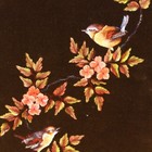 Foto 16 di 18