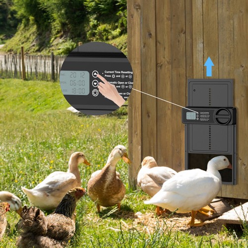 Alu Hühnerklappe Elektrisch Hühnertür Hühnerstalltür Automatische mit/ohne Solar - Bild 16 von 57
