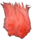 Bild 8 von 28