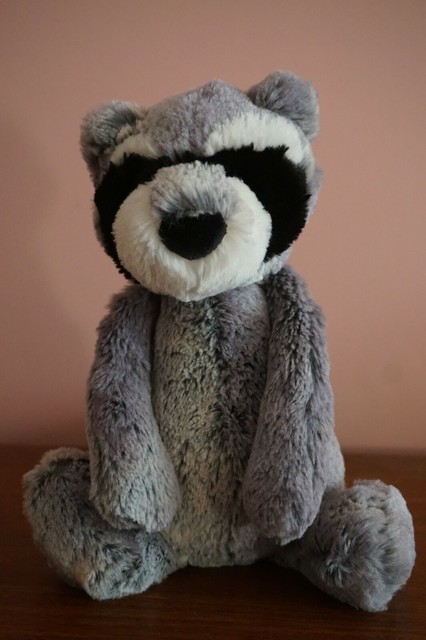 bashful raccoon