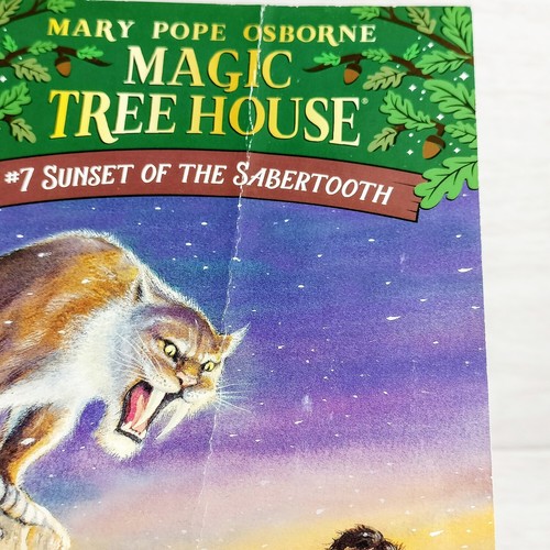 Magic Tree House Books 1-15 Box Set Collection #1 PB Mary Pope Osborne Complete - Picture 23 of 24